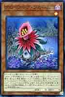 遊戯王 アンデット族 遊戯王オフィシャルカードゲーム デュエルモンスターズ 遊戯王